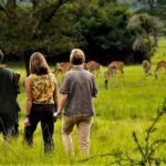 Can I Book a Private Walking Safari in Uganda?