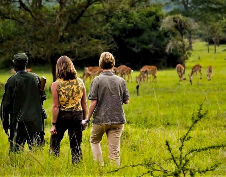 Can I Book a Private Walking Safari in Uganda?