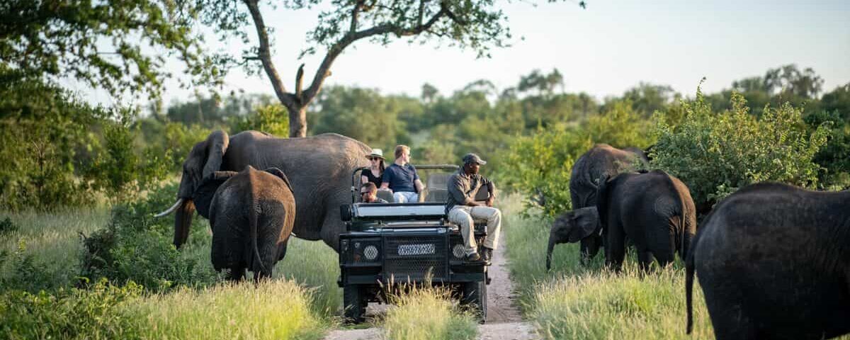 Can I Combine Wildlife Safaris with Cultural Safaris?