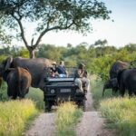 Can I Combine Wildlife Safaris with Cultural Safaris?