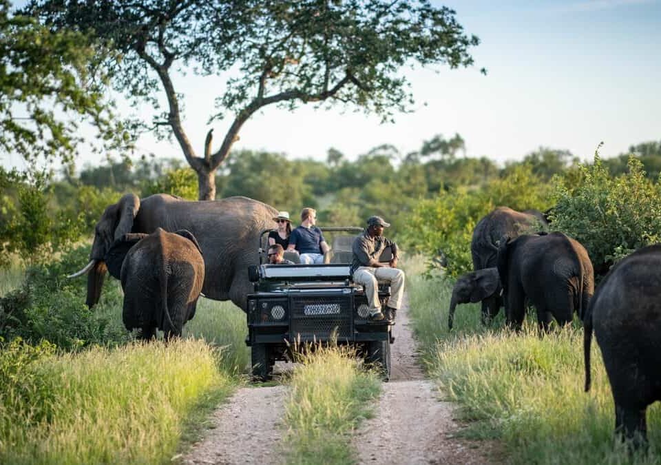 Can I Combine Wildlife Safaris with Cultural Safaris?