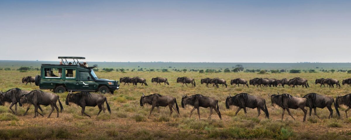 Are National Parks Open All Year Round?