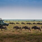 Are National Parks Open All Year Round?