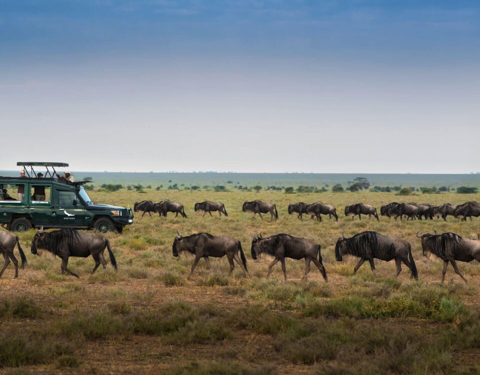 Are National Parks Open All Year Round?