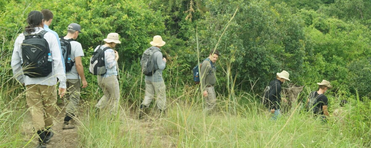 Are Birding Safaris Guided by Professional Ornithologists?
