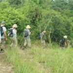 Are Birding Safaris Guided by Professional Ornithologists?