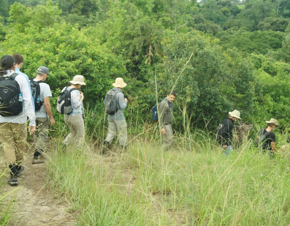 Are Birding Safaris Guided by Professional Ornithologists?