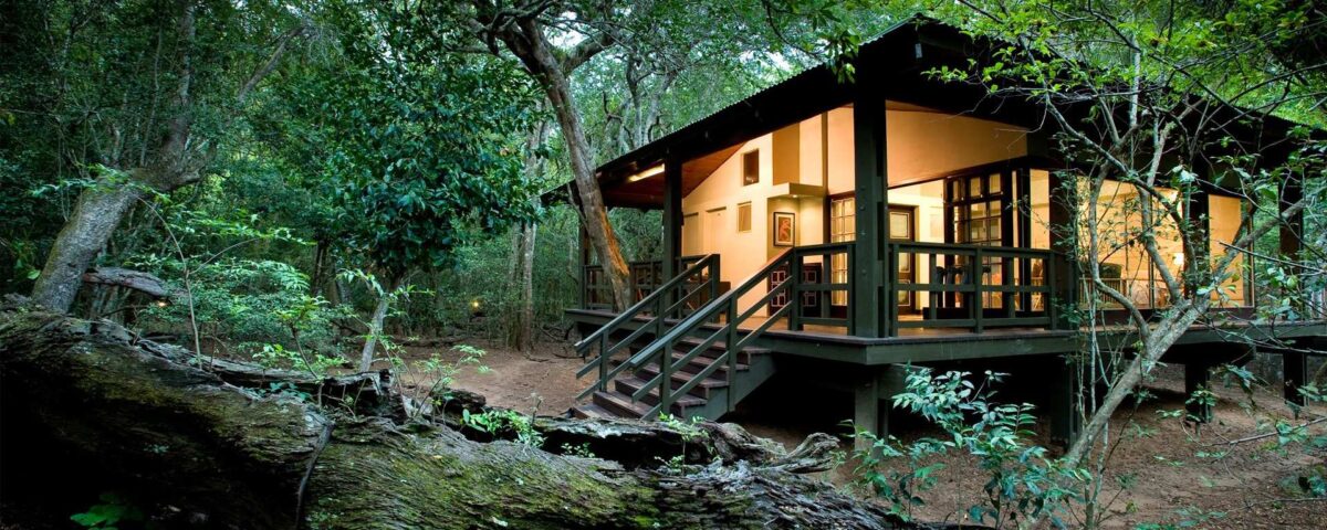 Are Eco-Lodges Available in Uganda and Kenya?