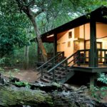 Are Eco-Lodges Available in Uganda and Kenya?