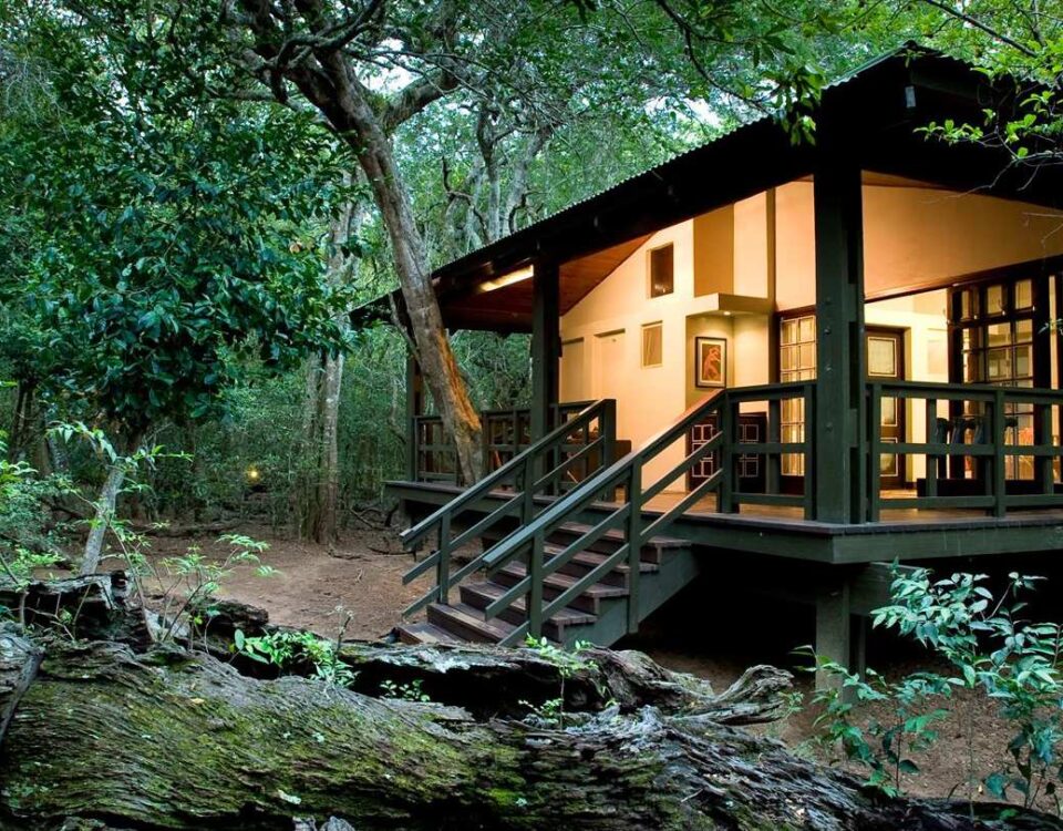 Are Eco-Lodges Available in Uganda and Kenya?