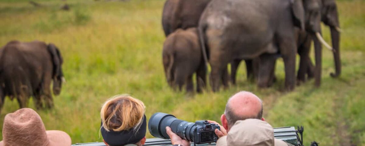 Are Luxury Safari Options Available?