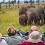 Are Luxury Safari Options Available?
