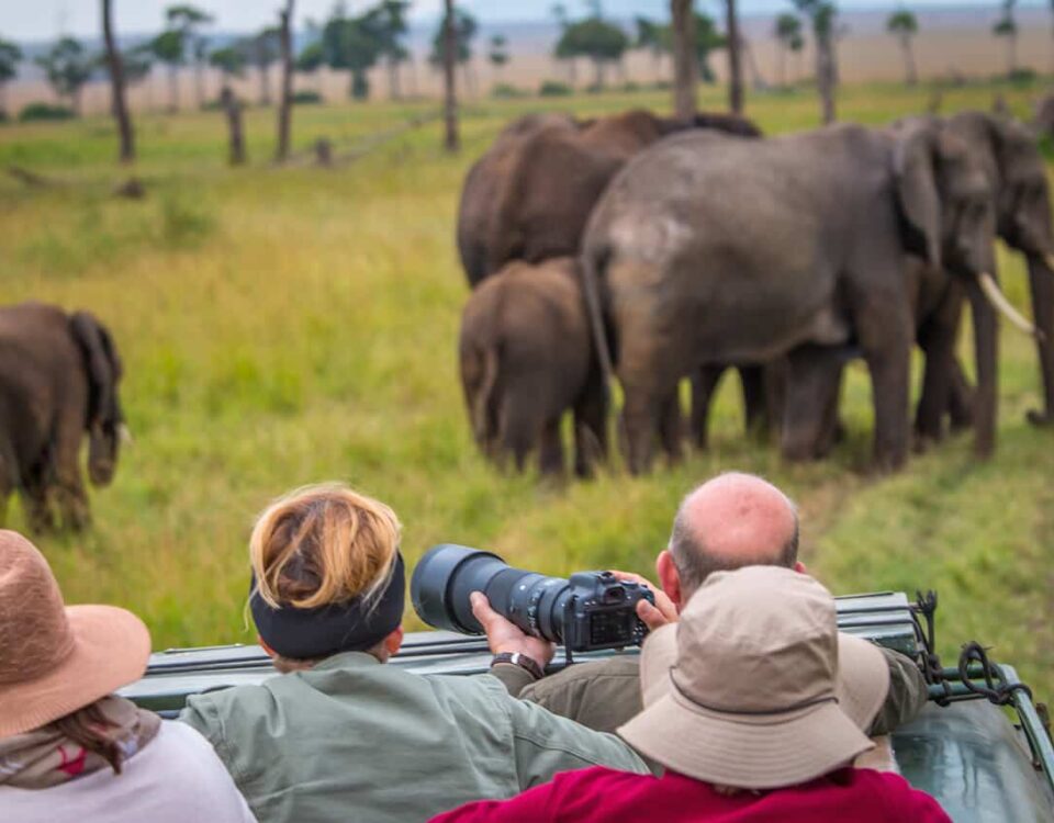 Are Luxury Safari Options Available?