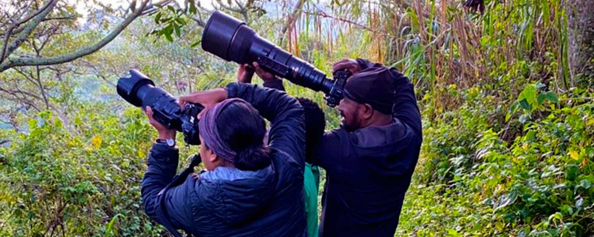 Can I Do Birding Safaris in Bwindi Impenetrable Forest?