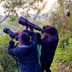 Can I Do Birding Safaris in Bwindi Impenetrable Forest?