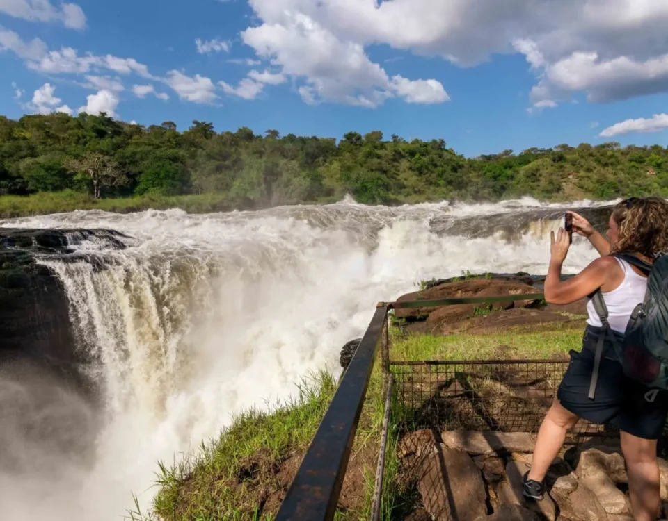 Can I Do a Walking Safari in Murchison Falls National Park?