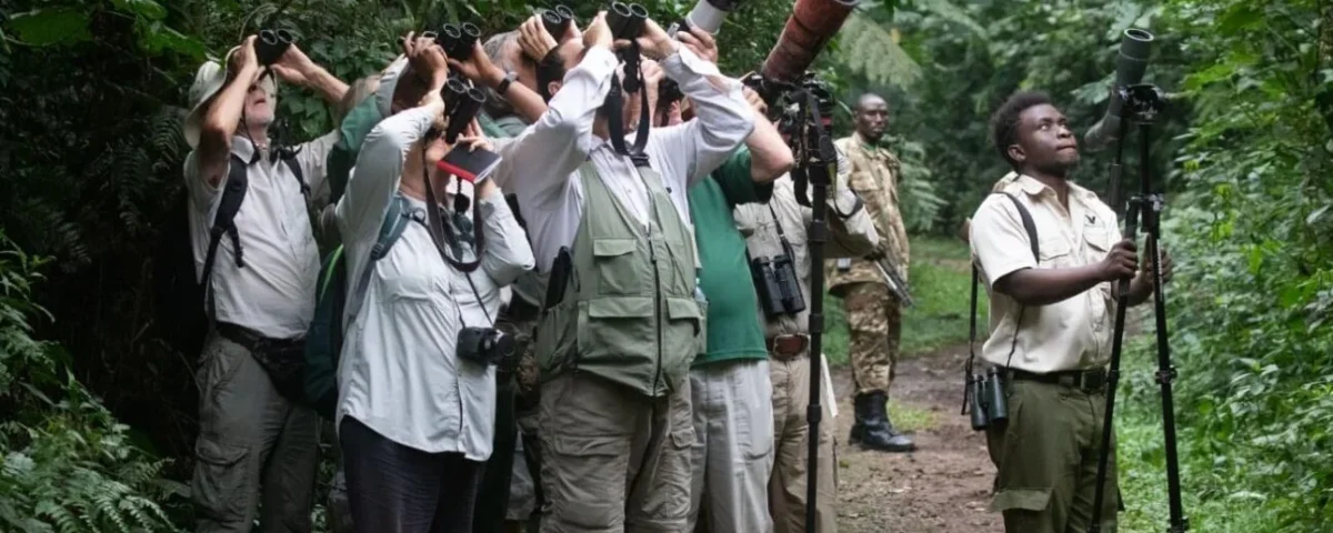 Can I Rent Binoculars for Birding Safaris in Uganda?