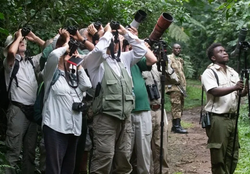 Can I Rent Binoculars for Birding Safaris in Uganda?