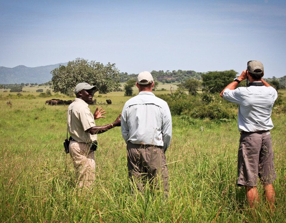 Can I Take Photos During a Walking Safari in Uganda?