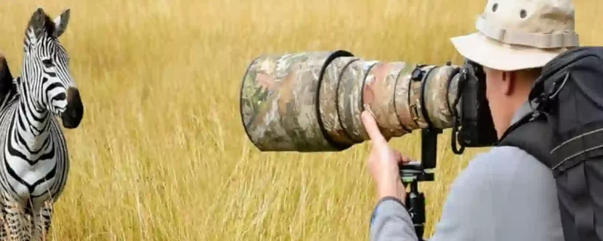 Can I Take a Photography-Focused Safari for the Great Migration?