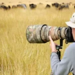 Can I Take a Photography-Focused Safari for the Great Migration?