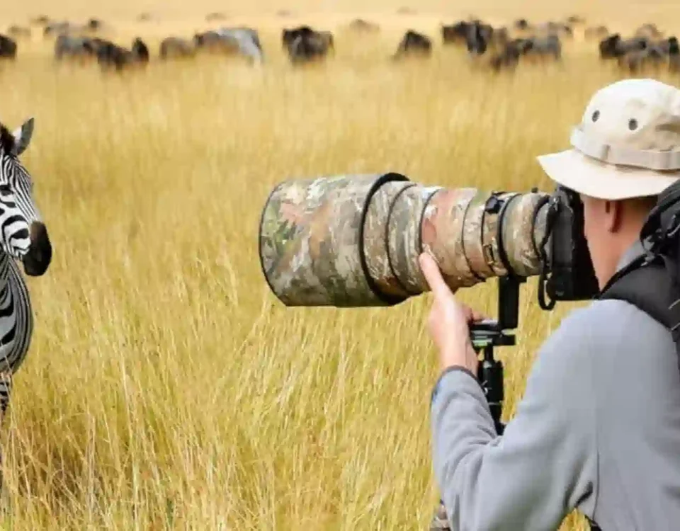 Can I Take a Photography-Focused Safari for the Great Migration?