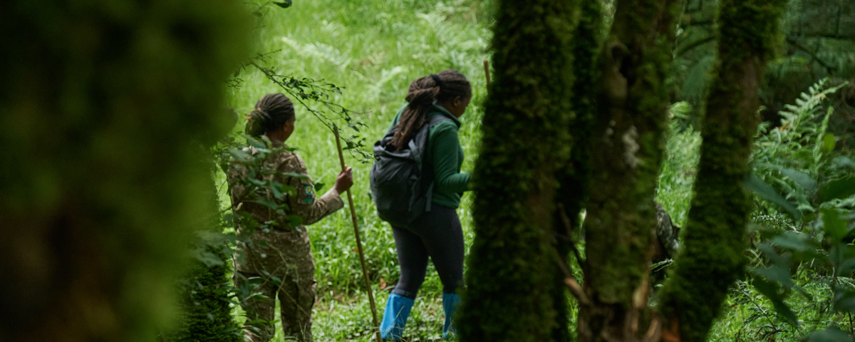 Do Walking Safaris Support Conservation in Uganda?