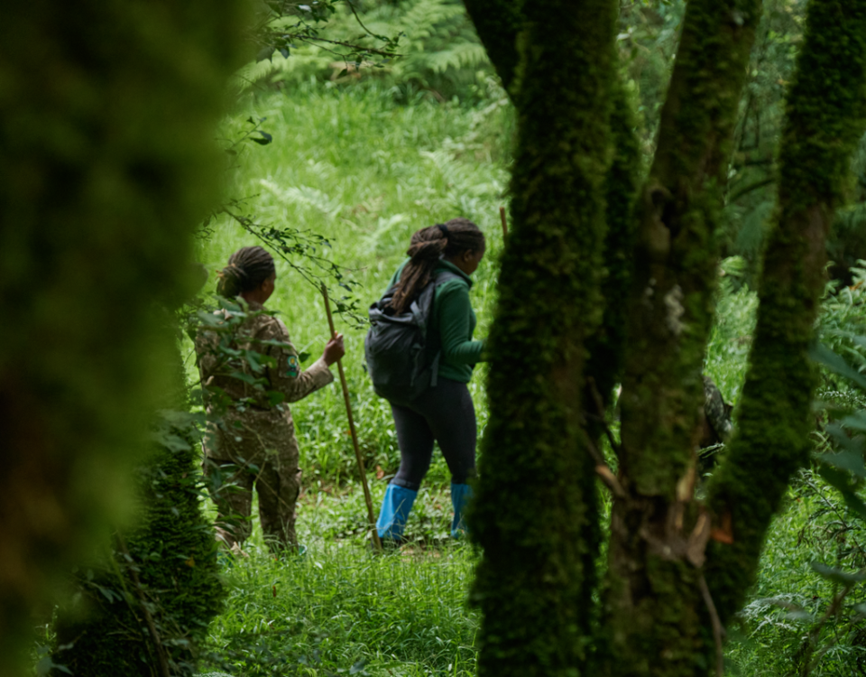 Do Walking Safaris Support Conservation in Uganda?