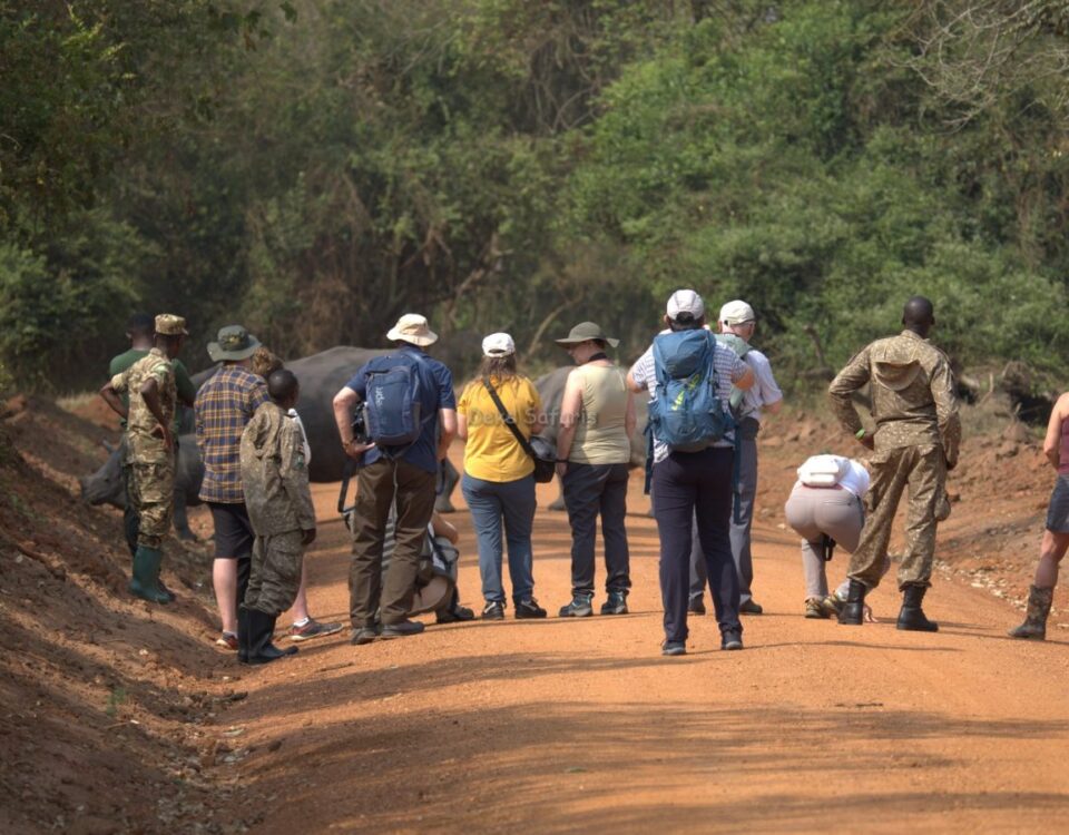 Do Walking Safaris in Uganda Cover Cultural Encounters?