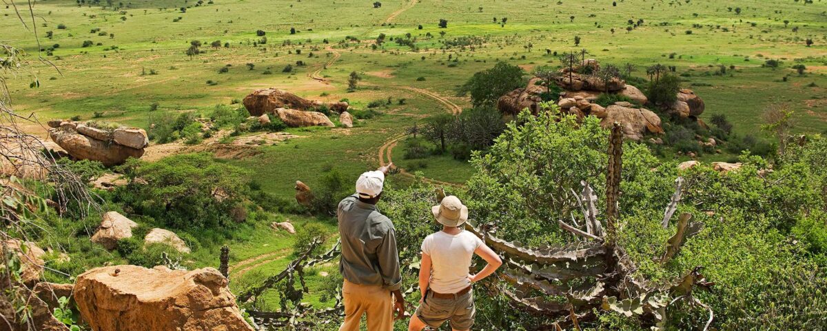 Do Walking Safaris in Uganda Include Birding Opportunities?