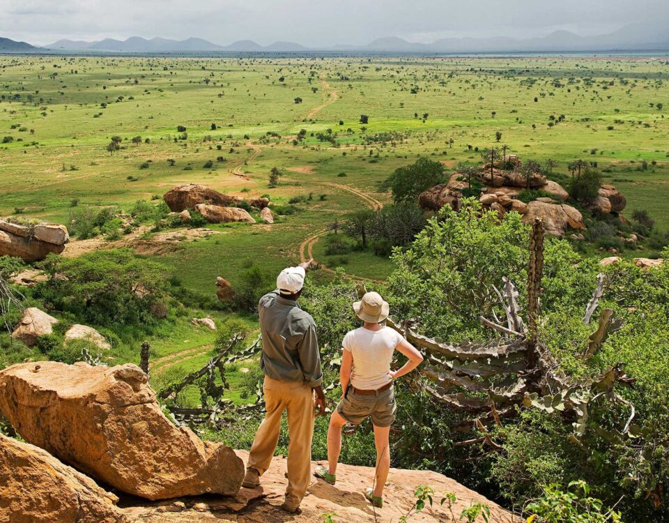 Do Walking Safaris in Uganda Include Birding Opportunities?