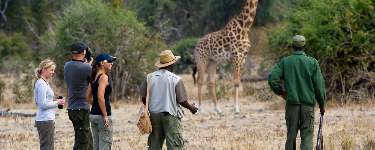 How Close Can I Get to Wildlife on a Walking Safari