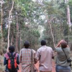 How Do I Book a Walking Safari in Uganda?
