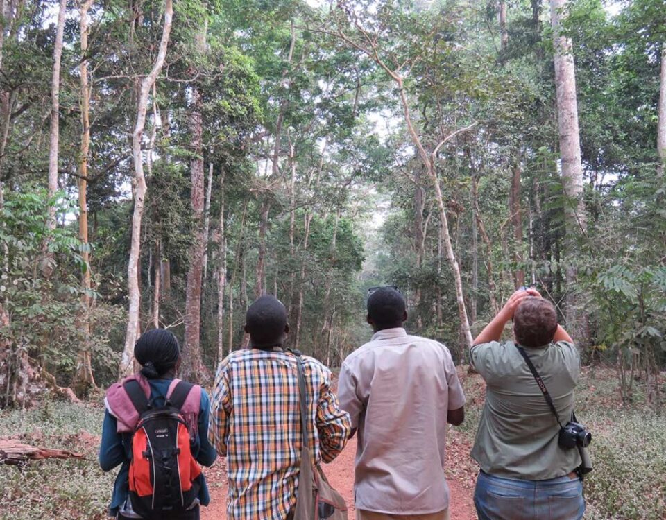 How Do I Book a Walking Safari in Uganda?