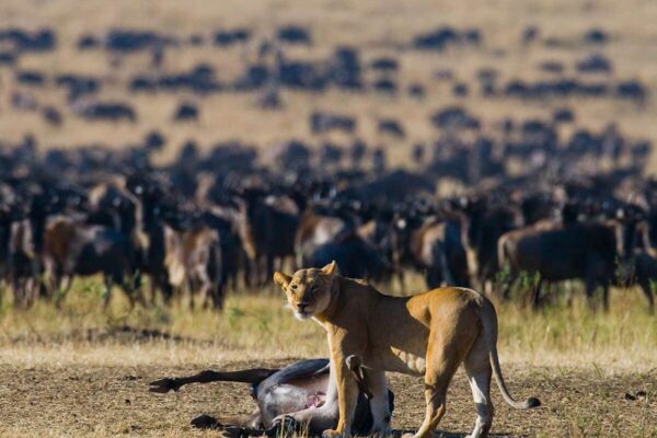 Serengeti National Park