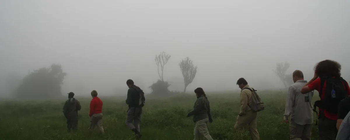 How long does a walking safari in Uganda usually take?