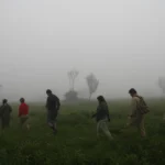 How long does a walking safari in Uganda usually take?