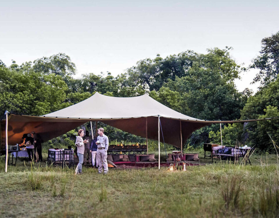 Is Camping Included in Multi-Day Walking Safaris?