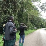 Is Kibale Forest Suitable for Birdwatching