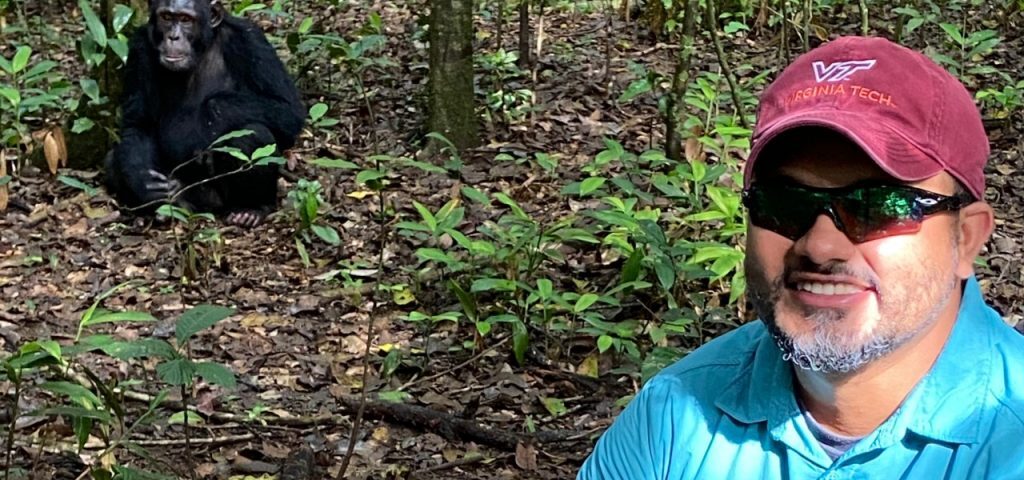 What Safety Measures Are Taken During Chimpanzee Tracking