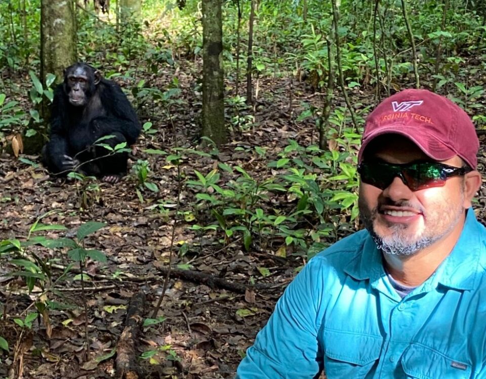What Safety Measures Are Taken During Chimpanzee Tracking