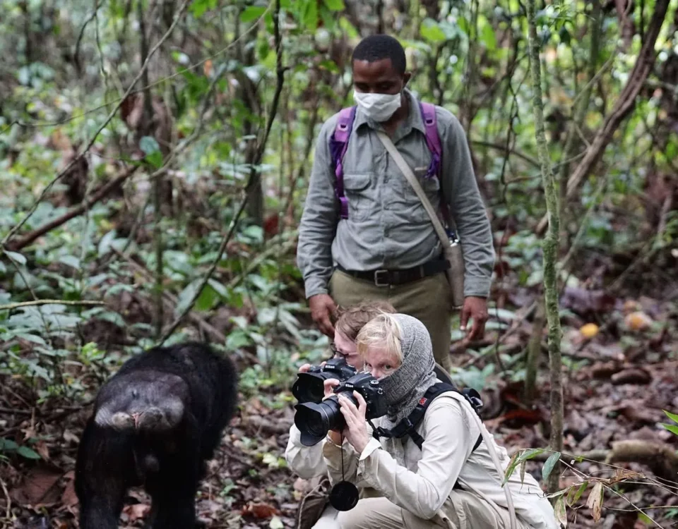 What Should I Wear for Chimpanzee Tracking in Uganda?