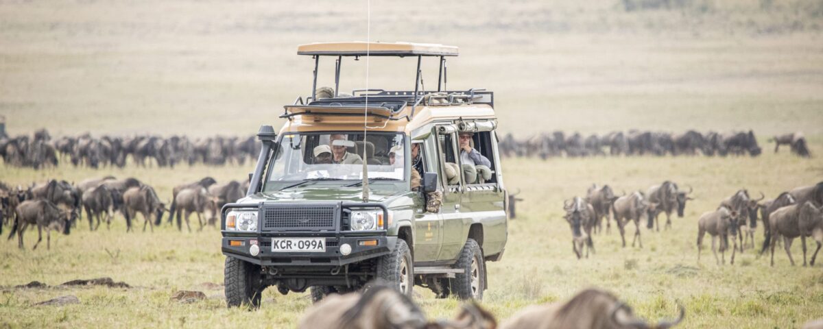 What Type of Vehicle Is Best for a Great Migration Safari?