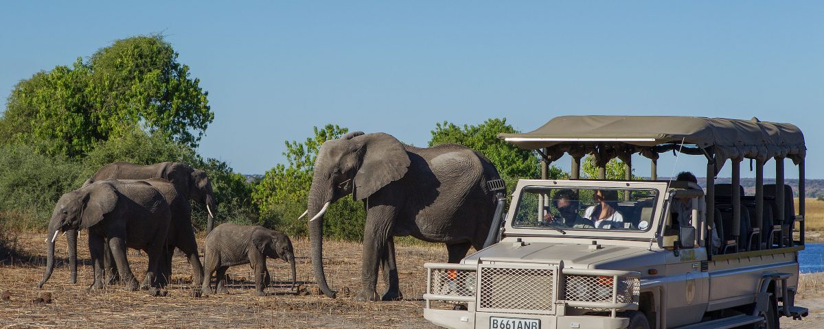 What Type of Vehicles Are Used for Game Drives