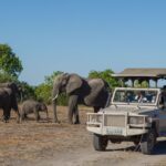 What Type of Vehicles Are Used for Game Drives