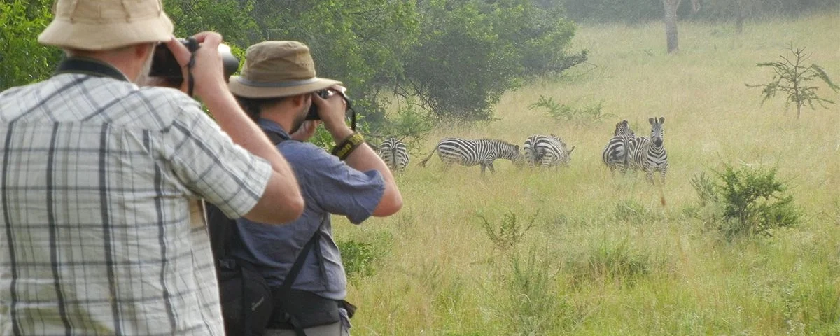 What Wildlife Can I See on a Walking Safari in Uganda?