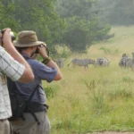 What Wildlife Can I See on a Walking Safari in Uganda?