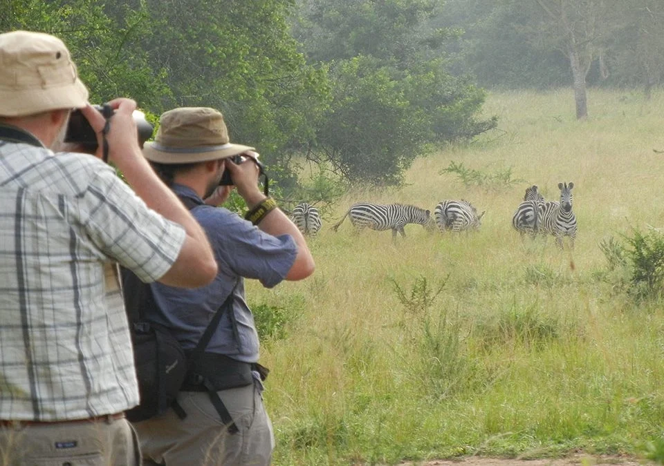 What Wildlife Can I See on a Walking Safari in Uganda?
