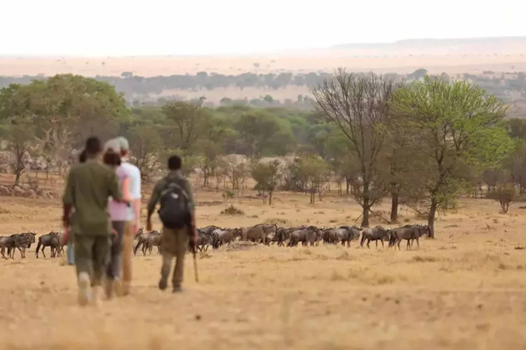 Are Uganda and Kenya Safe for Tourists