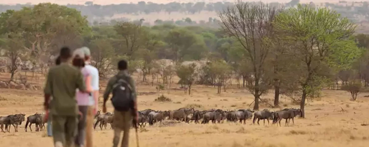 Are Uganda and Kenya Safe for Tourists